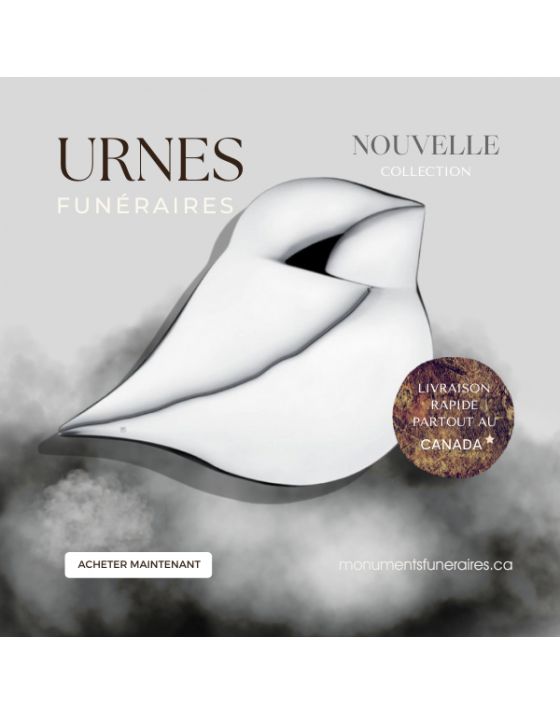 Oiseau de l'âme Argent Mâle